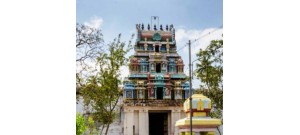 53. திருபெரும்புலியூர்